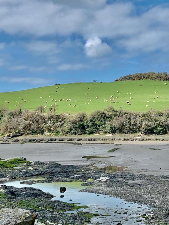Gwel An Heyl, Padstow Villa Little Petherick Eksteriør bilde